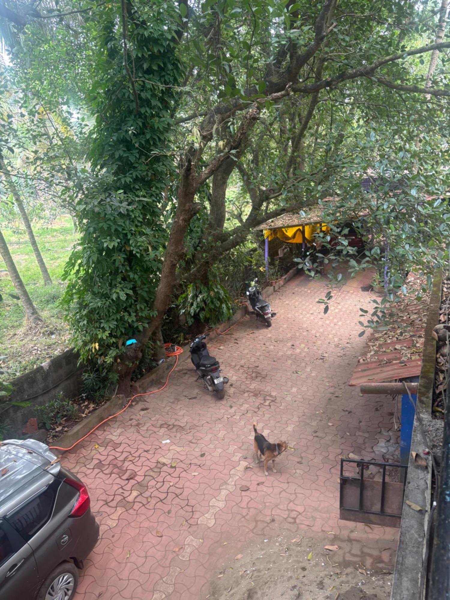 Ostello Tamasha Goa Vagator Camera foto